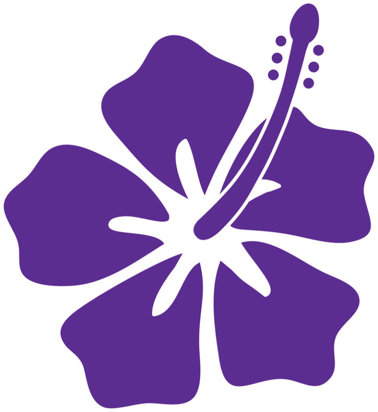 luau flower – UNION COUNTY FAMILY YMCA